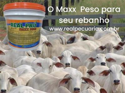 REAL PRO MAXX PESO - PROMOTOR DE CRESCIMENTO E ENGORDA